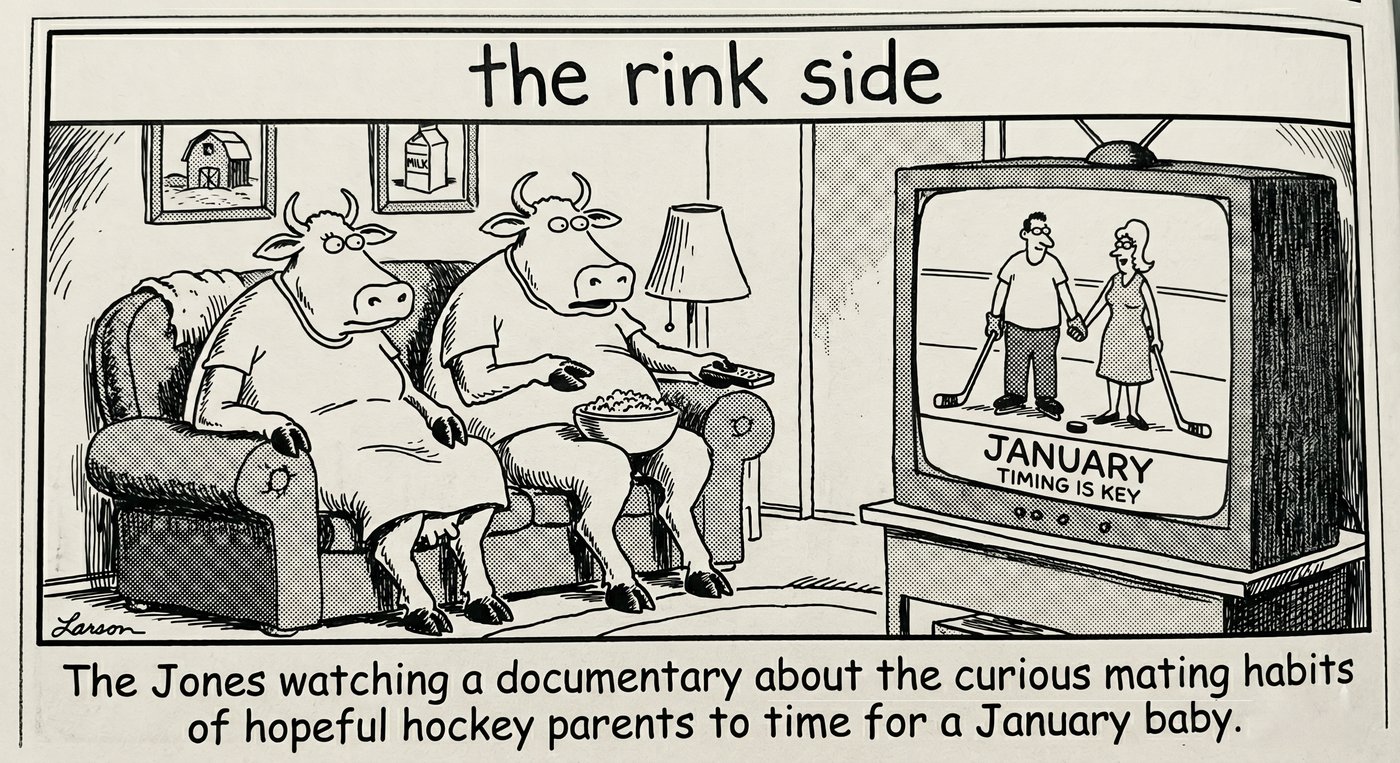 The Rink Side comic 5
